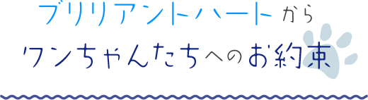 ブリリアントハートからワンちゃんたちへのお約束