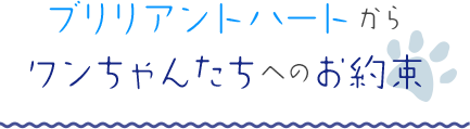 ブリリアントハートからワンちゃんたちへのお約束